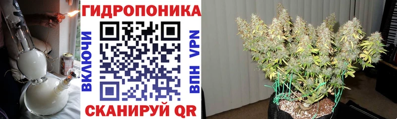Конопля сатива  Купить закладки  Калач-на-Дону 